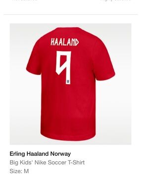 NWT Nike Norway Haaland Tee